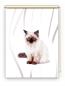 Preview: Rollo Majesti vertic  Katzenbaby, Rollo, Motivrollo, Rollo mit Druck, Fotorollo, bedrucktes Rollo, Fensterrollo,verdunkelndes Rollo, Sonnenschutz Rollo